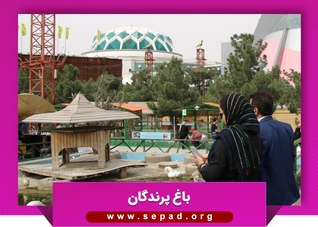 bagh1 1030x736 - باغ پرندگان مشهد