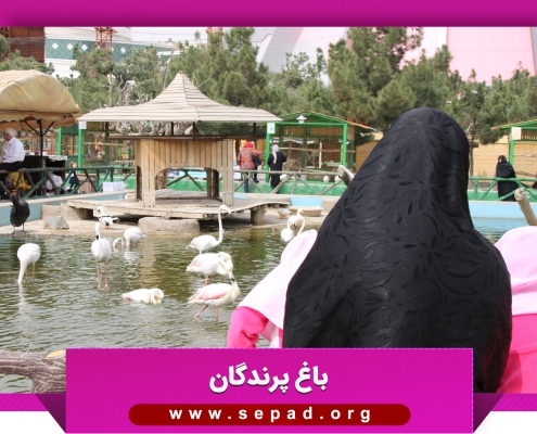 bagh2 495x400 - باغ پرندگان مشهد