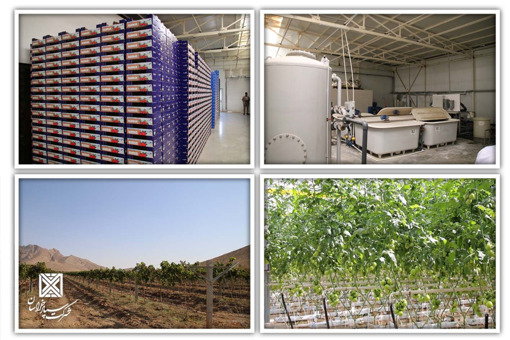 3 1 1030x687 - بازدید هیات مدیره و مدیرعامل شرکت سپاد خراسان از گلخانه ها، نیروگاه خورشیدی و کارخانه سیمان شهرستان زاوه